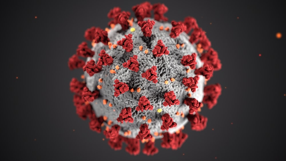 India reports 4,194 new COVID-19 cases, 255 deaths from virus in 24 hours